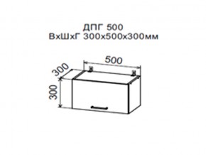 Шкаф верхний ДПГ500 горизонтальный в Салехарде - salekhard.магазин96.com | фото