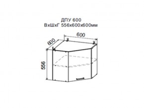 Шкаф верхний ДПУ600 угловой в Салехарде - salekhard.магазин96.com | фото